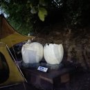 비봉화석지 화장실 이미지