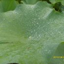 부평1리 이미지