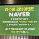 하이돈스