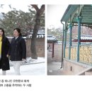하나조경 이미지