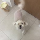 보노보노 미용실