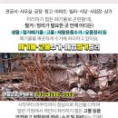 (주)톨리코리아