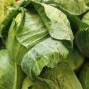 미혜농장 이미지