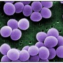 포산약국 이미지