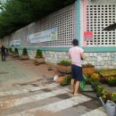 고색초교 이미지