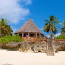 마이펫 부티크 이미지