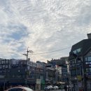 어렸을 때 살던 동네 투어인척 하는 목동분식 방문 후기