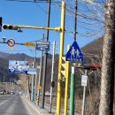 태백 황지중앙초등학교 강원신문