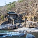 선비 코스 이미지