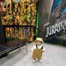 수원낚시마트 | 화성 동탄 아기랑 갈만한곳, 공룡월드 돌아기 후기