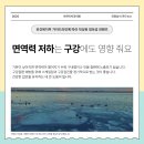 아르미치과의원 이미지