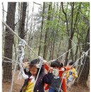 속리초교 병설유치원 이미지