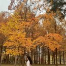 종우목장 | 강릉 초당옥수수커피 갤러리밥스 주차 웨이팅 후기