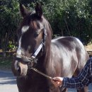 현모목장 이미지