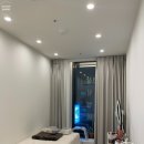 개 in 살롱 이미지