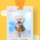 댕스피크닉 이미지