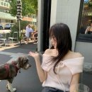 릴리샵 이미지