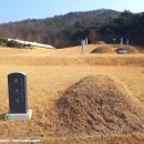 삼수장군