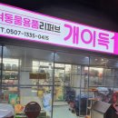 개이득몰 티스토리