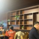 정희애견 이미지