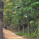 서초구민체육센터 이미지