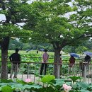 풀꽃세상채식뷔페 이미지