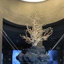 원주남부점 현대자동차 이미지