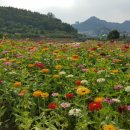 삼학도 무장애길 입구 이미지
