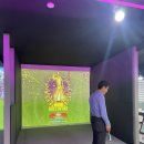 뉴 월드스크린 골프 이미지