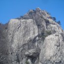 충무깁밥