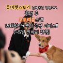 유어펫스토리 이미지