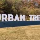 어반트리(Urban Tree)