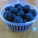 김종덕농장 이미지