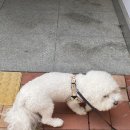 밀양가산돼지국밥 이미지