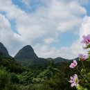 진안읍 1376 이미지