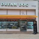 드림독강아지고양이안심분양센터 - 수원시 영통구 대학1로8번길 73 | 드림독강아지고양이안심분양센터