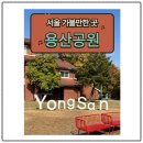 5단지 | 📍서울 가볼만한곳 :: 용산공원🌿장교숙소 5단지 후기 🏡