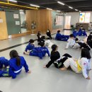 미르 주짓수 유도관 이미지