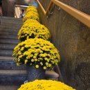 강강술래 | 상계동 맛집 친구모임 강강술래 상계점 점심정식 후기