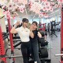 플라이 짐 이미지