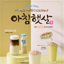 아침햇살 이미지