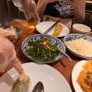 모닝글로리 | 다낭 호이안 맛집 올드타운 근처 모닝글로리 시그니처 방문 후기