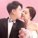 유어스펫 이미지