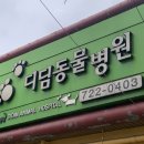 디딤동물병원 이미지