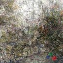 지금여기(now&here) 이미지