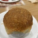 이천 | 이천 초밥 뷔페 맛집 쿠우쿠우 이천점 방문 후기