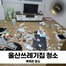 대야점 현대자동차 | 울산거주청소 비용, 빨리 부를수록 줄어드는 이유(북구 양정동 후기)