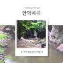 안덕면 감산리 346-1 | 여행 일지) 🌿서귀포 숨은 보석 '안덕계곡' 완전정복 (위치·주차·코스 총정리)