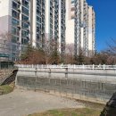 용현환경