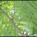 소목한의원 이미지